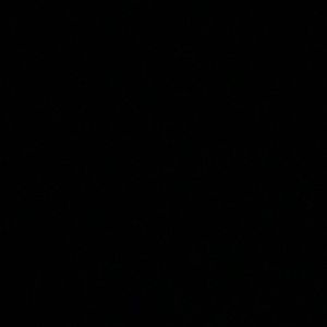 Meet your Posher, Ella